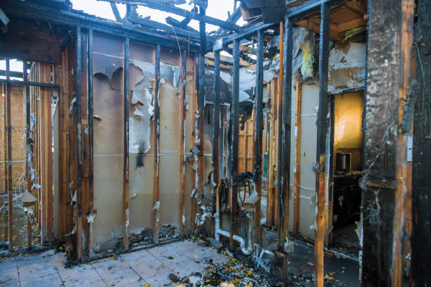 Professional Fire Damage Assessment technician working in Quincy, MI